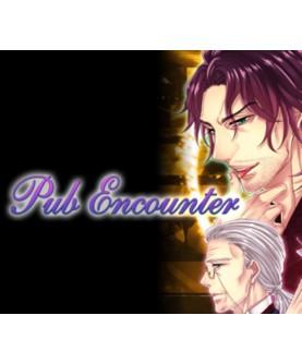 Pub Encounter Steam Key GLOBAL